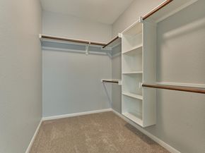 78 Douvaine Court, The Woodlands TX 77382