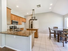 13203 Yaupon Holly Lane, Houston TX 77044