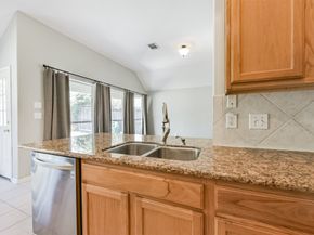 13203 Yaupon Holly Lane, Houston TX 77044