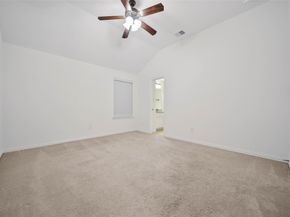 19 Brittany Rose Place, The Woodlands TX 77375