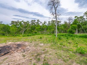 1030 Grand Oaks Drive, Houston TX 77015