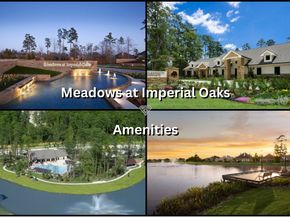 2885 Woodland Glen Lane, Conroe TX 77385