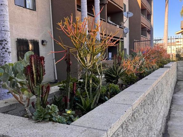 1450 Locust Avenue 425, Long Beach CA 90813