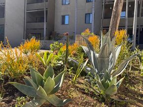 1450 Locust Avenue 425, Long Beach CA 90813