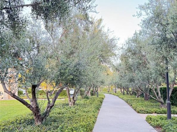 103 Alumroot, Irvine CA 92620