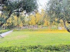 103 Alumroot, Irvine CA 92620