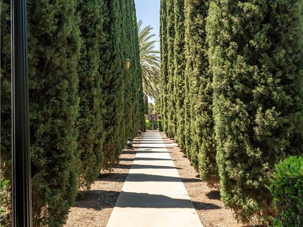 320 Bronze, Irvine CA 92618