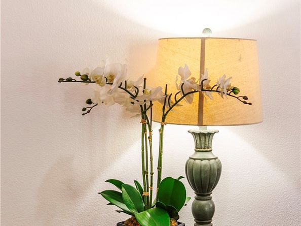 320 Bronze, Irvine CA 92618