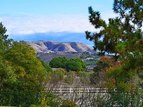 6710 El Montevideo, Rancho Santa Fe CA 92067