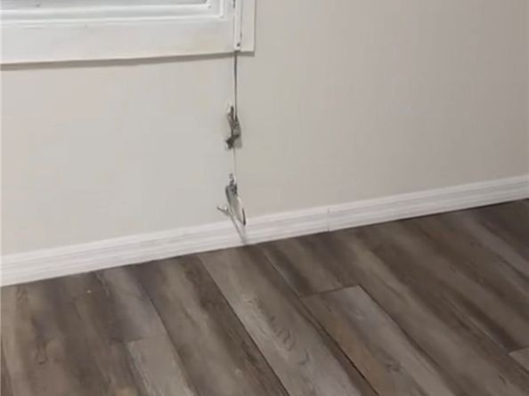 1560 E 66th Street, Los Angeles CA 90001