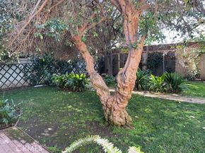 6709 Vesper, Van Nuys CA 91405