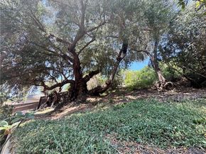 13707 Philadelphia Street, Whittier CA 90601