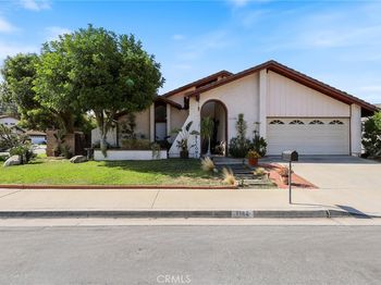 1184 E Meadow Wood Drive