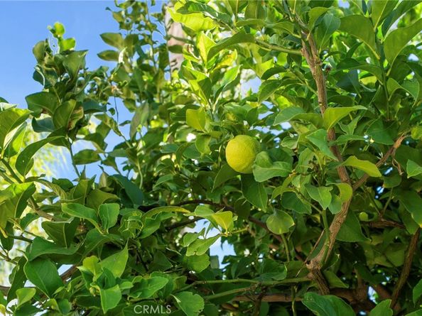 11389 Padova Drive, Rancho Cucamonga CA 91701