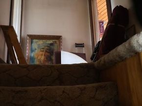 209 Carlton, Pasadena CA 91103