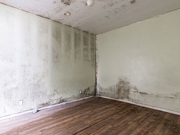 4913 Melrose Avenue, Los Angeles CA 90029