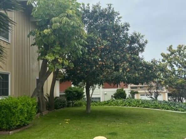 3500 W Manchester Boulevard 386, Inglewood CA 90305