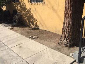 8504 S San Pedro Street, Los Angeles CA 90003