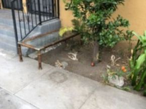 8504 S San Pedro Street, Los Angeles CA 90003