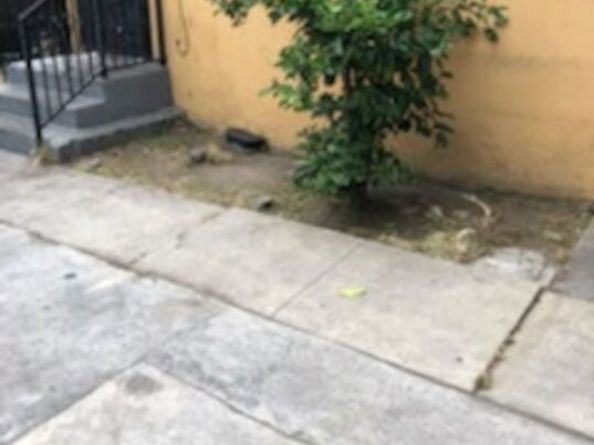 8504 S San Pedro Street, Los Angeles CA 90003