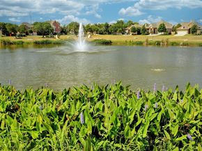 1708 Loyal Friend DR 46, Leander TX 78641