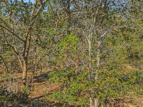 3908 Holt DR, Austin TX 78749