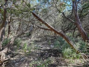 4711 Spicewood Springs RD 2112, Austin TX 78759