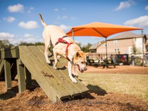 224 Menlo BND, Liberty Hill TX 78642