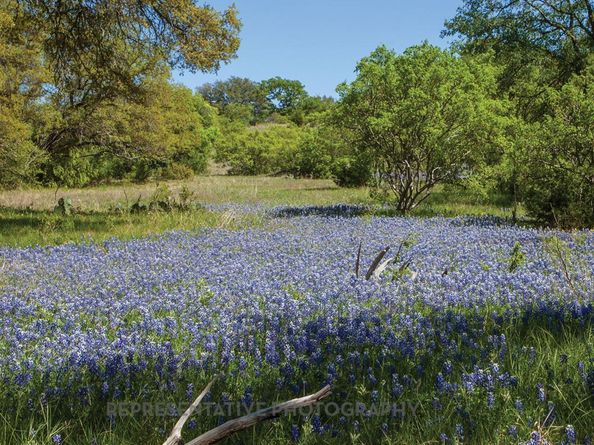 224 Menlo BND, Liberty Hill TX 78642