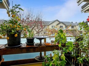 3048 Fostoria Cir, Danville CA 94526