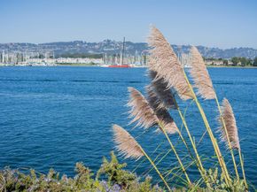 130 Lakeshore Ct, Richmond CA 94804