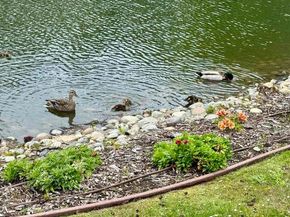 130 Lakeshore Ct, Richmond CA 94804