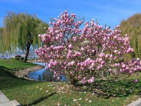 130 Lakeshore Ct, Richmond CA 94804