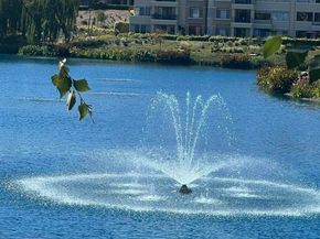 4059 W Lakeshore Dr, San Ramon CA 94582