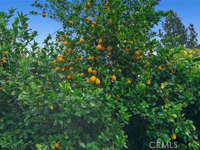 9054 Darby, Northridge (los Angeles) CA 91325