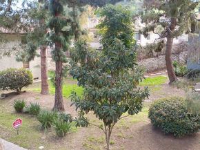 5832 Bowcroft Street 4, Los Angeles CA 90016