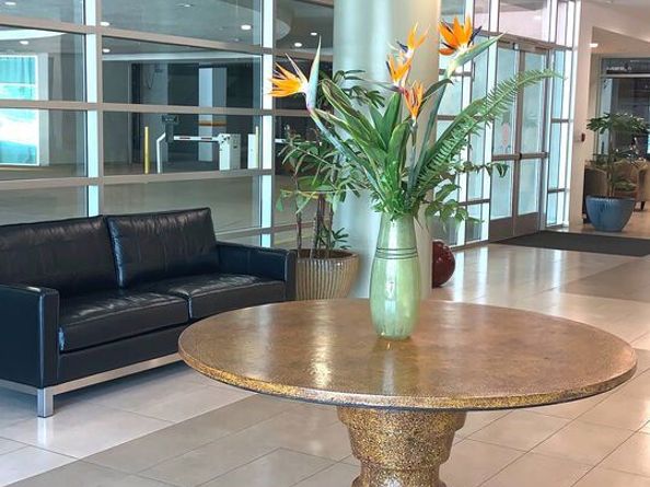 267 S San Pedro Street 221, Los Angeles CA 90012