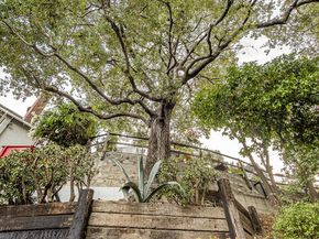 2882 Belden Drive, Los Angeles CA 90068