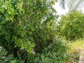 17180 Ballinger Street, Northridge CA 91325