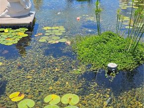 23000 Newport Coast Drive, Newport Coast CA 92657