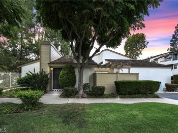 242 Mountain Court