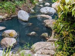 4900 E Chapman Avenue 24, Orange CA 92869