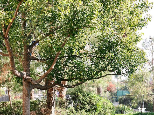 2753 Waverly Drive 302, Los Angeles CA 90039