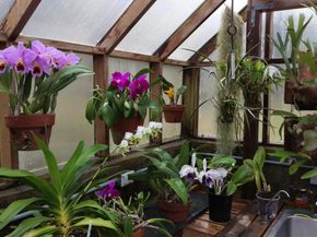 805 Rock Lane, Elkins Park PA 19027