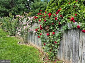 805 Rock Lane, Elkins Park PA 19027