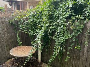 1539 W Tucker Street, Philadelphia PA 19132