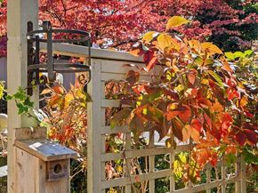 809 Church Road, Elkins Park PA 19027