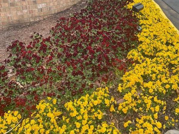 205 Yoakum Parkway 1016, Alexandria VA 22304