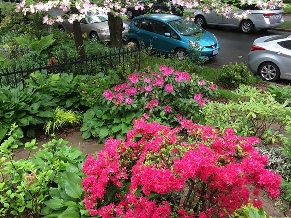 3622 Veazey Street NW, Washington DC 20008