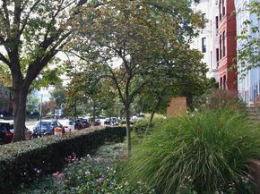 238 Maryland Avenue NE B, Washington DC 20002